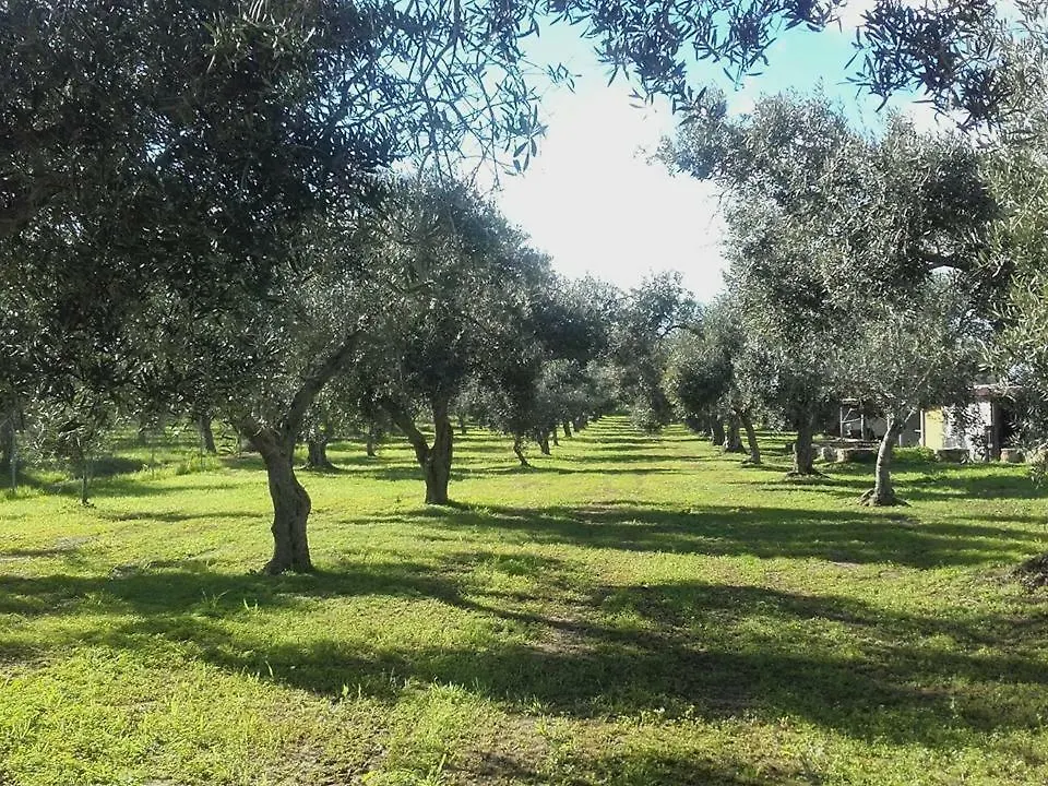 Agriturismo Sa Ruda Càbras Lantgård